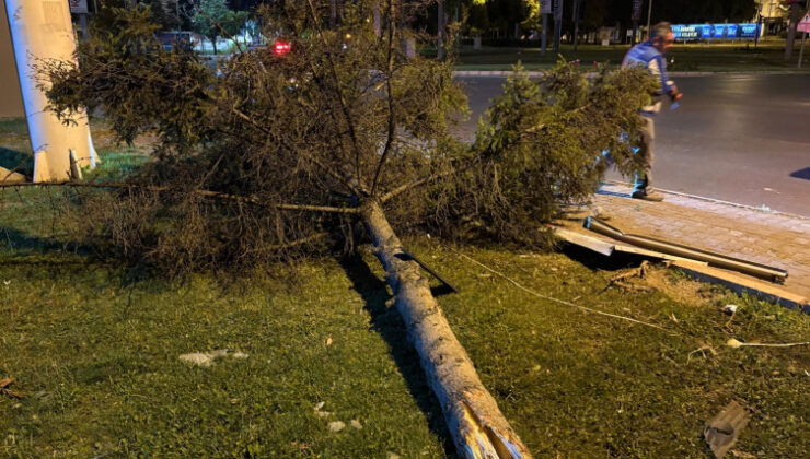Otomobil önce ağacı ikiye böldü, ardından parka daldı
