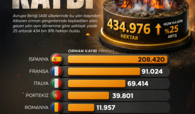 AB ülkelerinde bu yıl orman yangınlarında kayıp 435 bin hektarı buldu