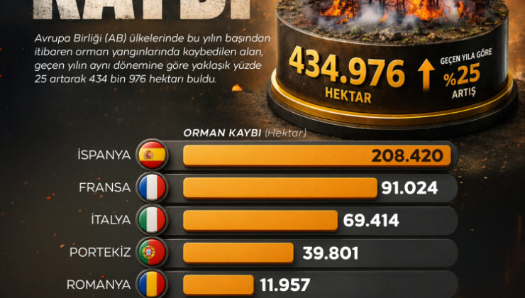 AB ülkelerinde bu yıl orman yangınlarında kayıp 435 bin hektarı buldu