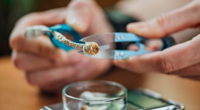 Sadece bir doz psilosibin beyni yeniden yapılandırmak için yeterli görünüyor | Yeni Bilim Adamı