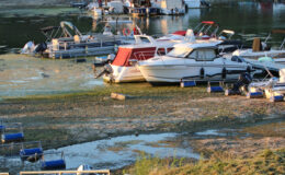 Tuna Nehri'nin su seviyesinde düşüş sürüyor