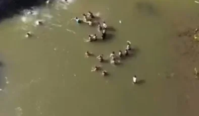 Bingöl’de suda kaybolan kişi için verilen mücadele kamerada