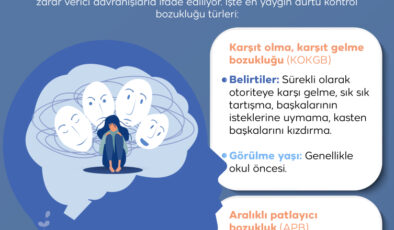 “Haylazlık” değil dürtü kontrol bozukluğu