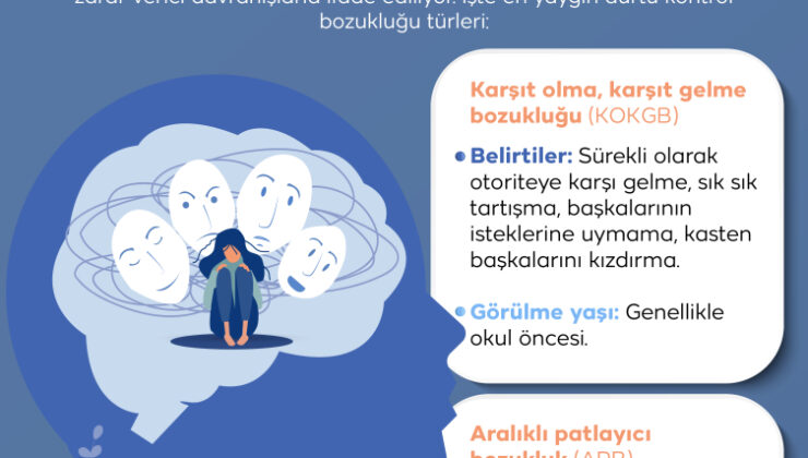 “Haylazlık” değil dürtü kontrol bozukluğu