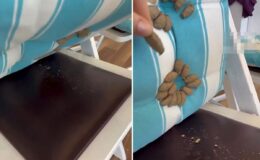 Minderini kaldıran kadın, dehşet verici manzarayla karşılaştı