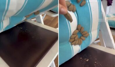 Minderini kaldıran kadın, dehşet verici manzarayla karşılaştı
