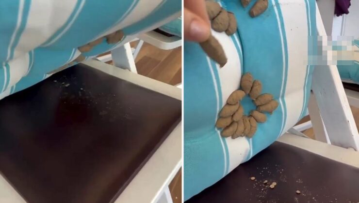 Minderini kaldıran kadın, dehşet verici manzarayla karşılaştı