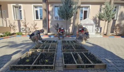 Traktör römorkundan binlerce saka kuşu çıktı, sürücüye 19,8 milyon ceza