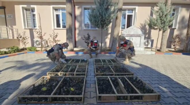 Traktör römorkundan binlerce saka kuşu çıktı, sürücüye 19,8 milyon ceza