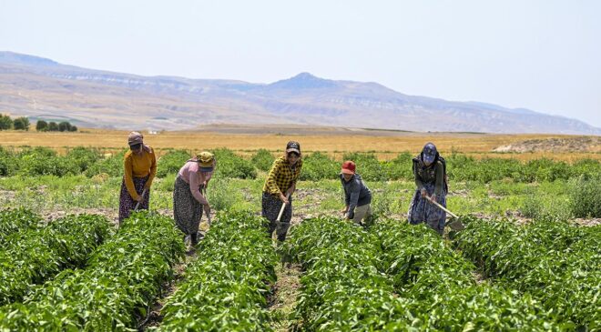 2,9 milyon çiftçiye 6 ayda 106 milyar lira destek