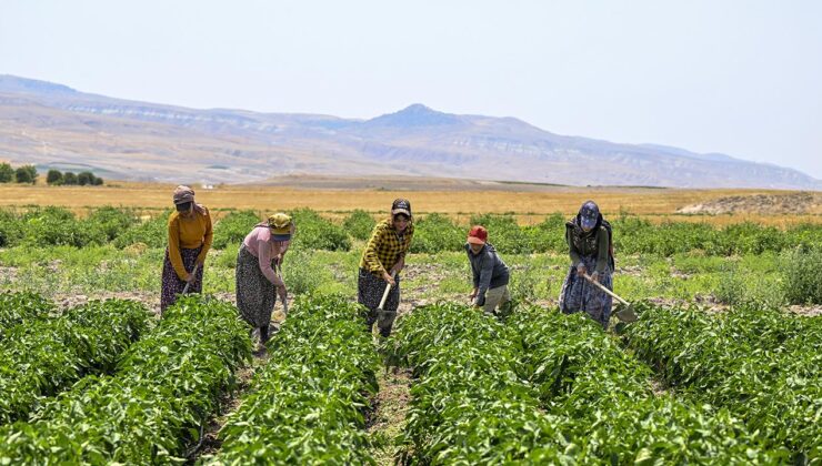 2,9 milyon çiftçiye 6 ayda 106 milyar lira destek
