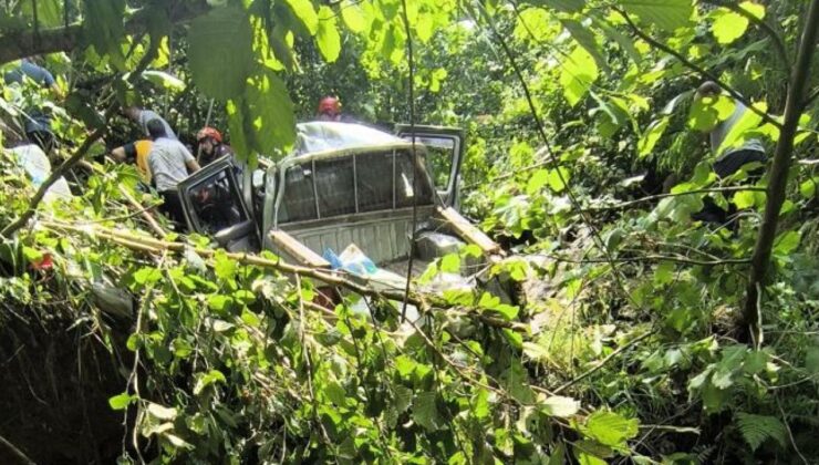 Trabzon’da kamyonet fındık bahçesine yuvarlandı: 1 ölü, 5 yaralı