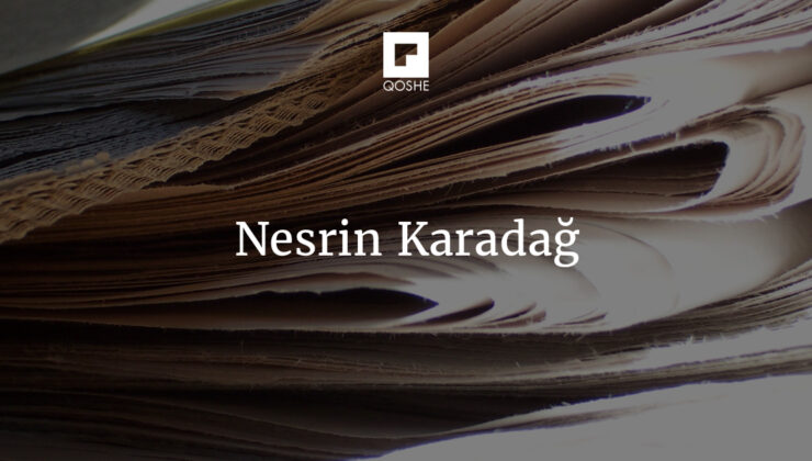 Korkunun gölgesinde yaşamak: blueScat – Nesrin Karadağ