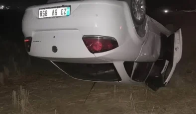 Diyarbakır’da otomobil tarlaya uçtu: 1 yaralı