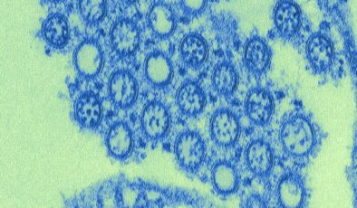 İlk mRNA Grip Aşısı Nihayet FDA Tarafından 2026 Sezonu İçin Onaylandı – Başlangıçta İncelemeyi Reddettikten Sonra