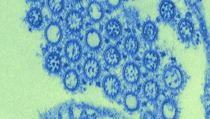 İlk mRNA Grip Aşısı Nihayet FDA Tarafından 2026 Sezonu İçin Onaylandı – Başlangıçta İncelemeyi Reddettikten Sonra