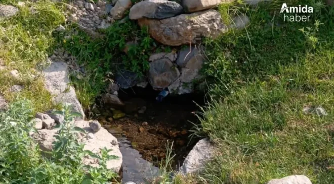 Şeyh Said’in sığındığı yerdeki gizemli su yeniden akıyor
