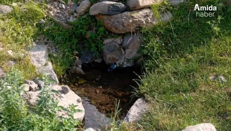 Şeyh Said’in sığındığı yerdeki gizemli su yeniden akıyor
