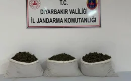 Diyarbakır’da uyuşturucu operasyonu