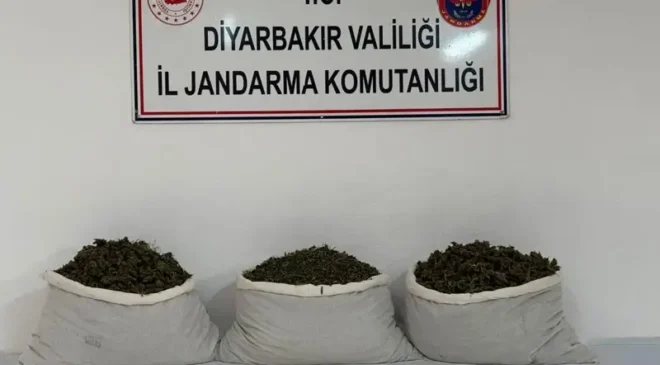 Diyarbakır’da uyuşturucu operasyonu