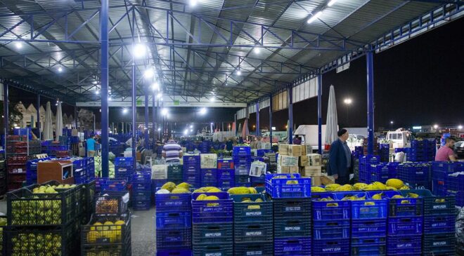 Yaş meyve ihracatı, 7 ayda 1 milyar doları aştı