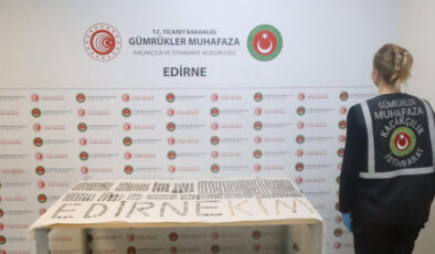 Türkiye'nin kültürel mirası sınır kapılarında korundu