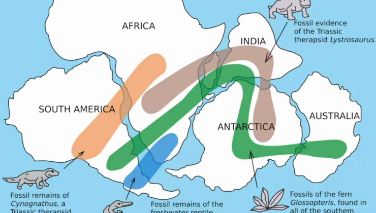 Gondwana Sonunda Gerçek Süper Kıta Durumuna Yükseltilebilir. Görünen o ki, sanılandan çok daha büyüktü