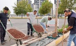 Eşbaşkan Serra Bucak Torino’da