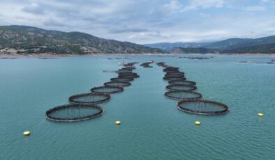 IPARD III kapsamında 95 projeye 1,2 milyar lira hibe