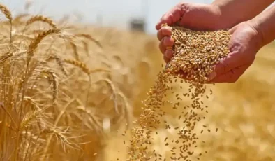 Bölgeden 2,5 milyar dolarlık makarna, un ve yağ ihraç edildi