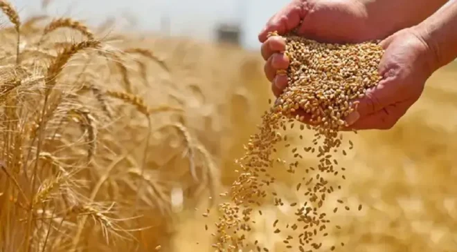 Bölgeden 2,5 milyar dolarlık makarna, un ve yağ ihraç edildi