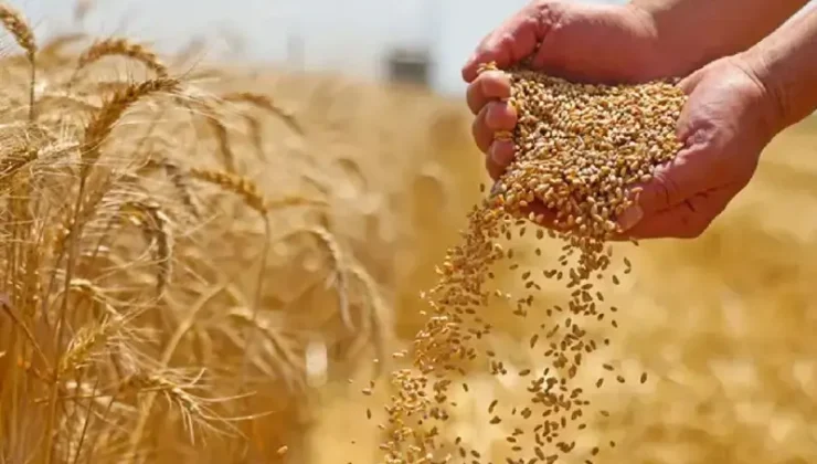 Bölgeden 2,5 milyar dolarlık makarna, un ve yağ ihraç edildi