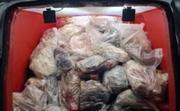 Diyarbakır’da sağlıksız 820 kilo iç yağı ve sakatat ele geçirildi