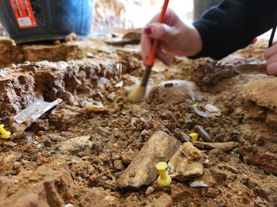 Son Neandertaller Türümüzü Ele Geçirene Kadar Bu Mağaraya Dönmeye Devam Ediyordu