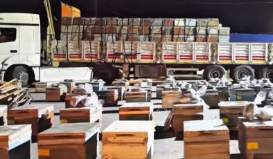 Hakkari’de arı kovanlarına gizlenmiş 91 kilogram uyuşturucu ele geçirildi