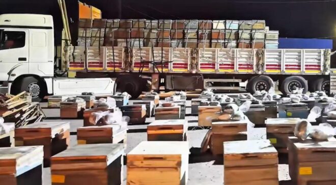 Hakkari’de arı kovanlarına gizlenmiş 91 kilogram uyuşturucu ele geçirildi