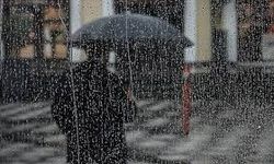 Diyarbakır’da 1.000 sahipsiz hayvan için süre verildi